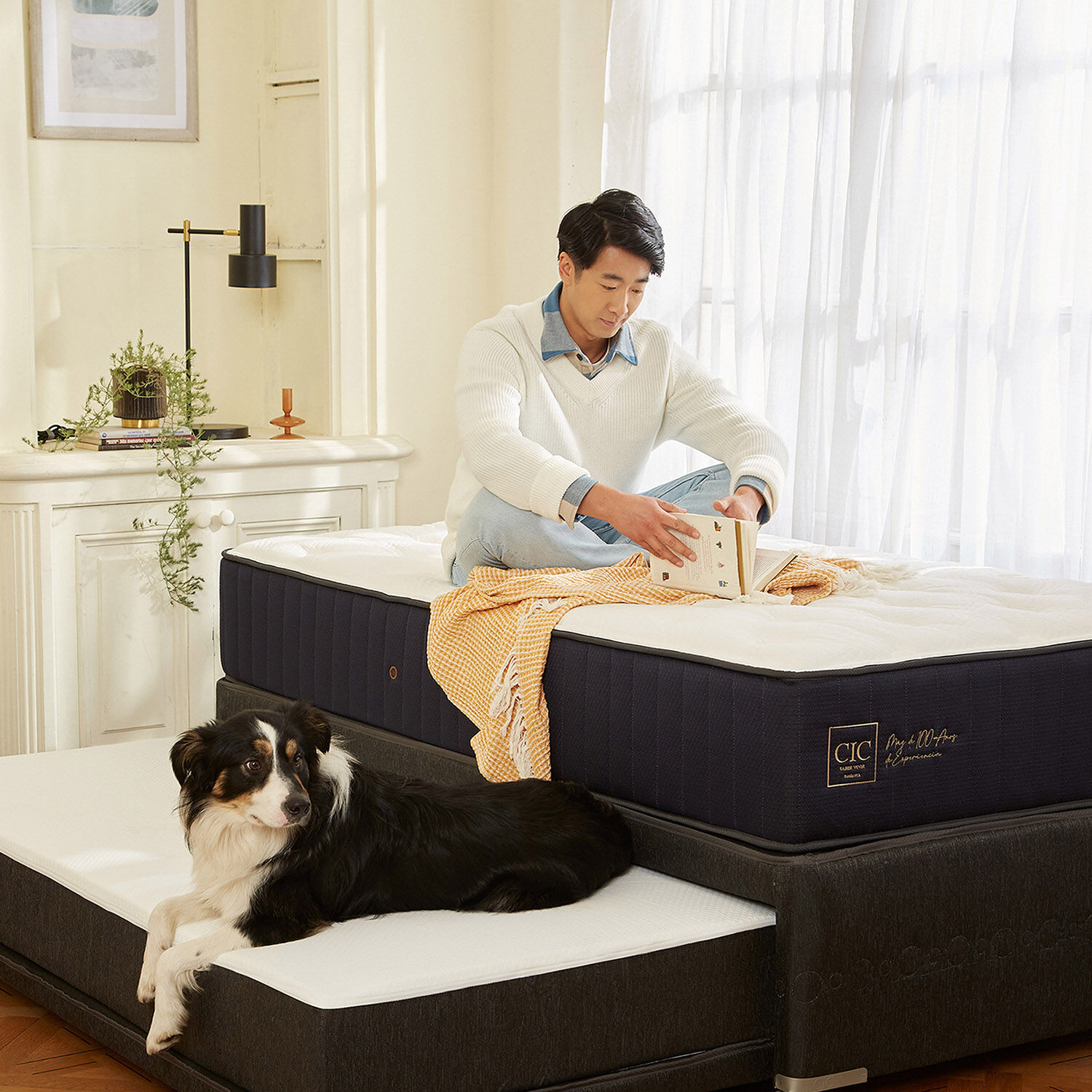 Cama Nido Diván Premium + Respaldo Villarrica Gris