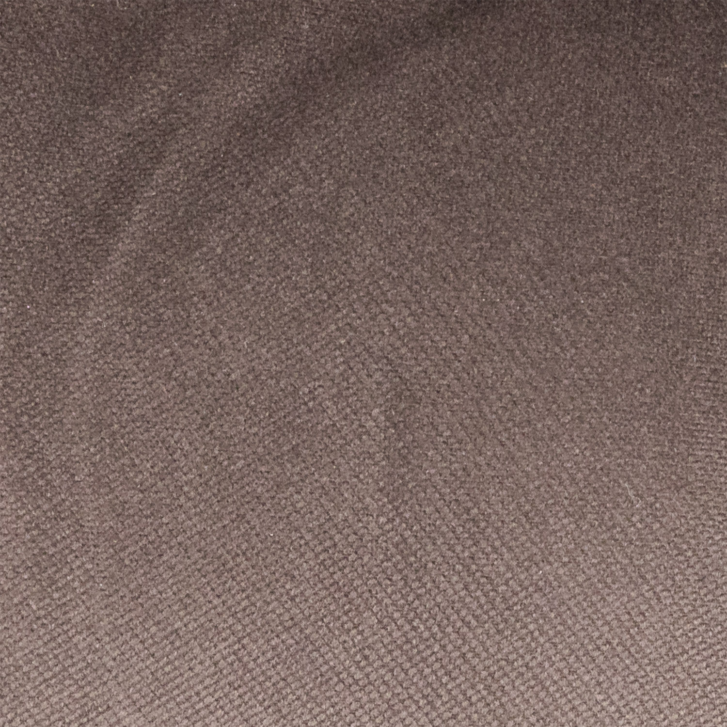 Bergere 1 Cuerpo Texas Chocolate