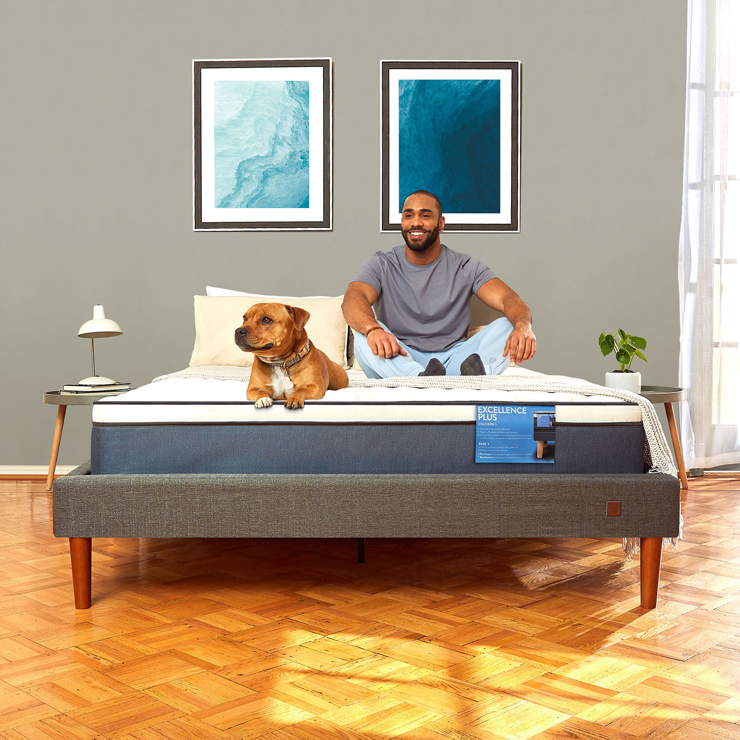 Cama Europea Curve 2 Plazas Excellence Plus + Set Olmo + Plum&oacute;n + Almohada