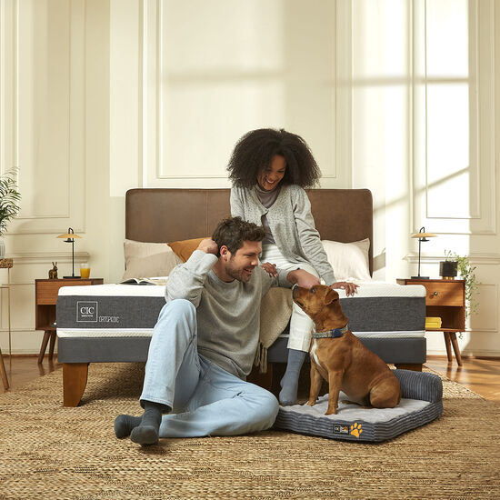 Cama Europea 2 Plazas Ortopedic Base Normal + Respaldo Tigris