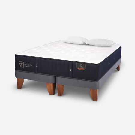Cama Europea 2 Plazas Premium Base Dividida + Almohadas Viscoel&aacute;sticas