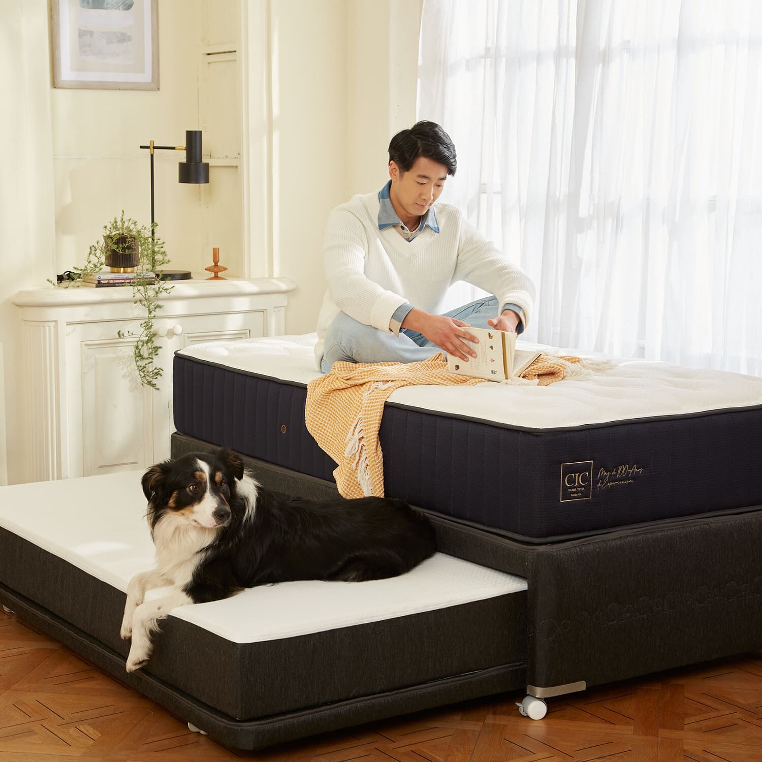 Cama Nido Diván Premium + Respaldo Torino Negro