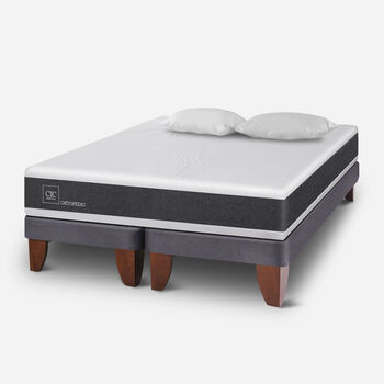 Cama Europea 2 Plazas Ortopedic Base Dividida + Almohadas