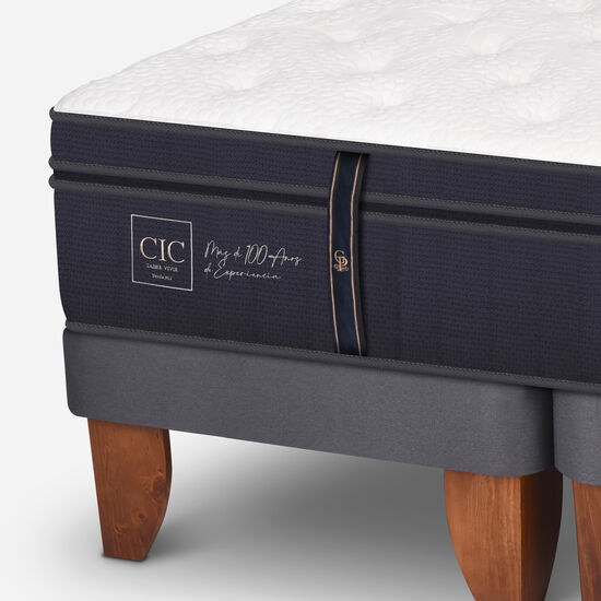 Cama Europea 2 Plazas Base Dividida Grand Premium + Set Miró + Plumón 100% Pluma de Ganso