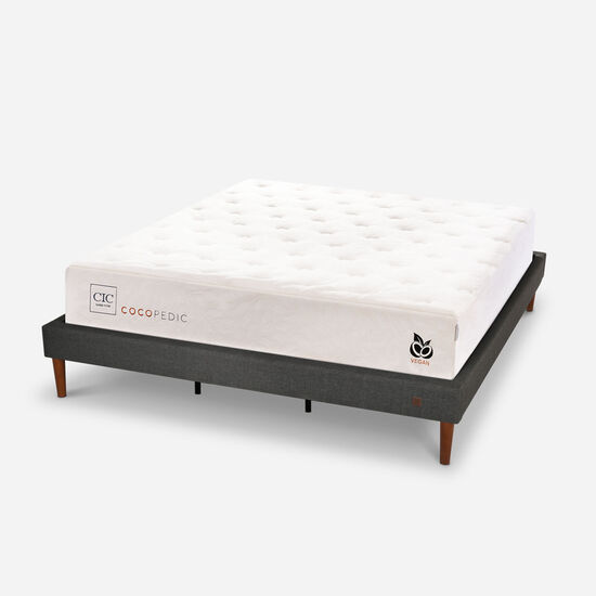 Cama Europea Curve King Cocopedic