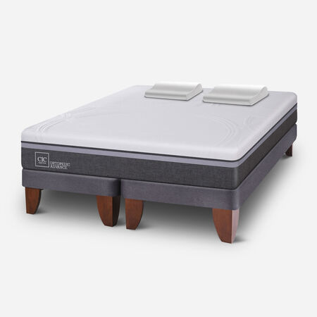 Cama Europea 2 Plazas Ortopedic Advance Base Dividida + Almohadas Viscoel&aacute;sticas