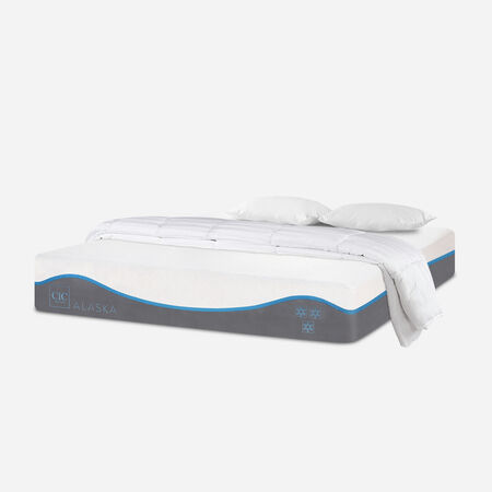 Colch&oacute;n King Alaska 180x200 + Almohadas Viscoel&aacute;sticass Plum&oacute;n