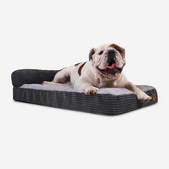 Colch&oacute;n Con Almohada&nbsp;Mascota&nbsp;Talla S 74x48 CM