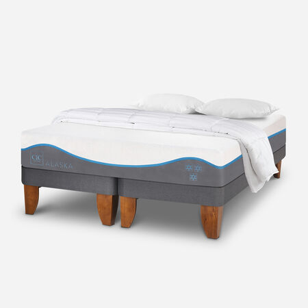 Cama Europea King Alaska + Almohadas Viscoel&aacute;sticass Plum&oacute;n