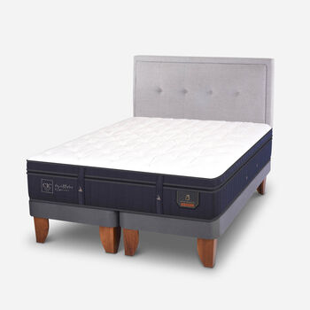 Cama Europea 2 Plazas Super Premium Base Dividida + Respaldo Ganges