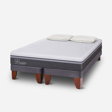 Cama Europea 2 Plazas Ortopedic Advance Base Dividida + Almohadas Down Alternative