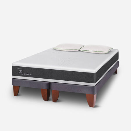 Cama Europea 2 Plazas Ortopedic Base Dividida + Almohadas Down Alternative