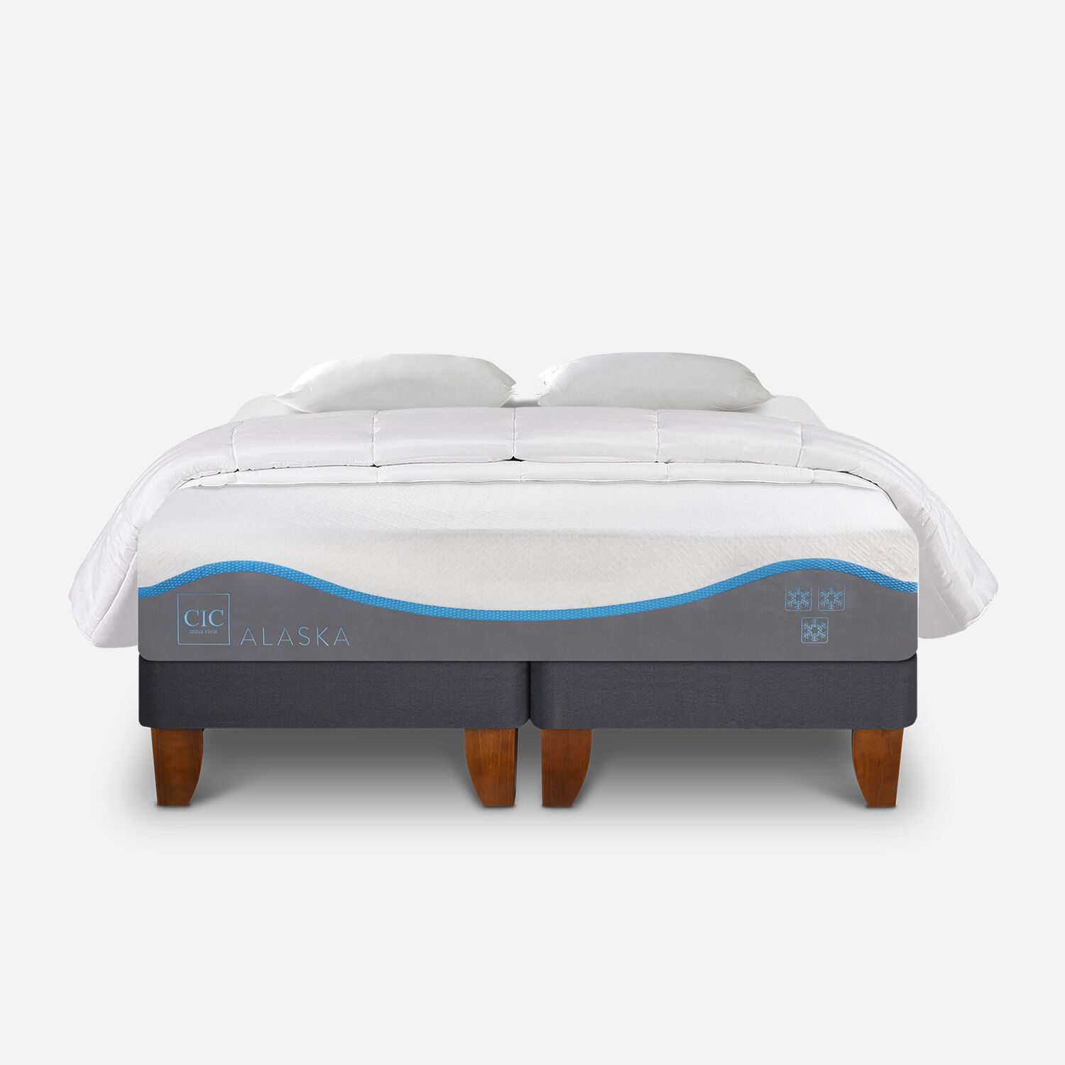 Cama Europea 2 Plazas Alaska Base Dividida + Almohadas Viscoel&aacute;sticass Plum&oacute;n