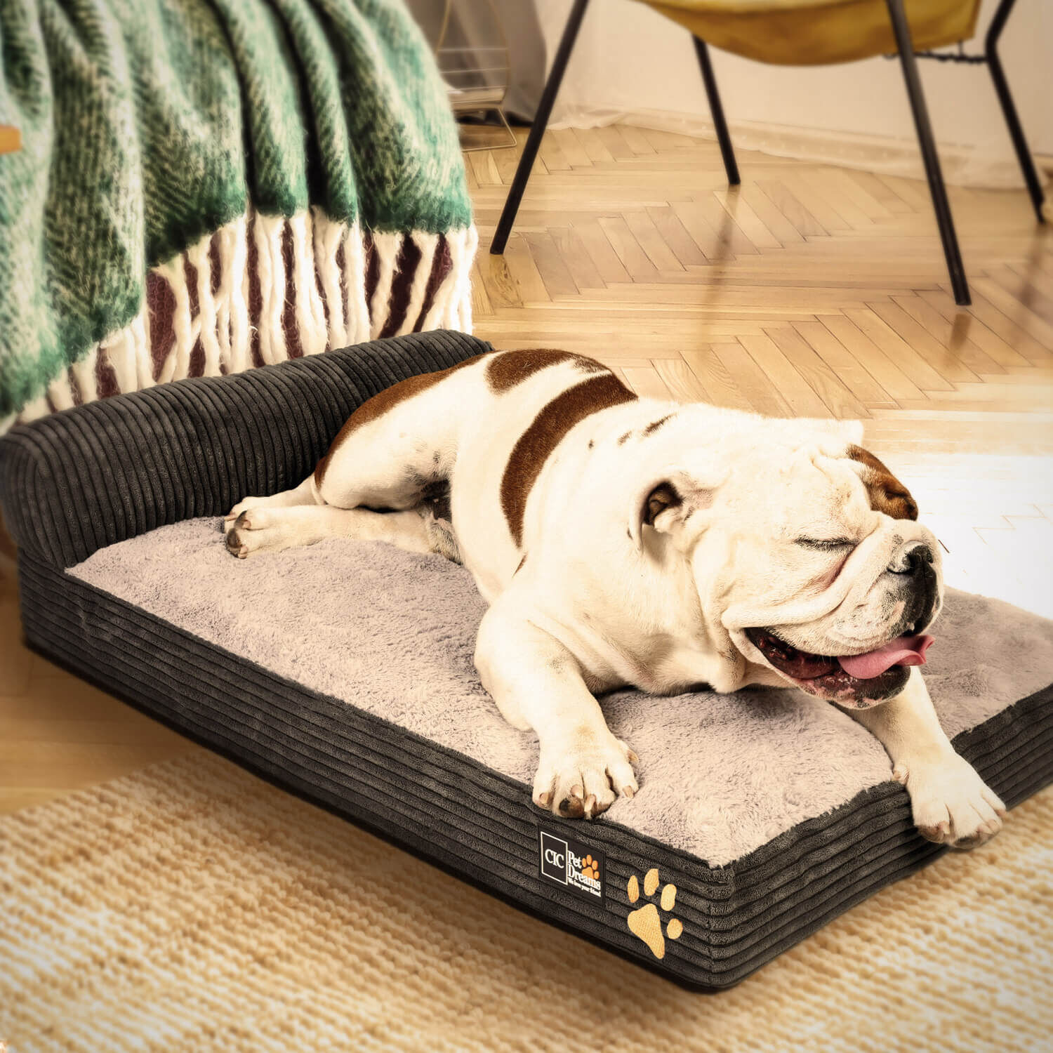 Pack Colchonetas CIC Kids Frost Gray + Cama Europea 1 Plaza Ortopedic