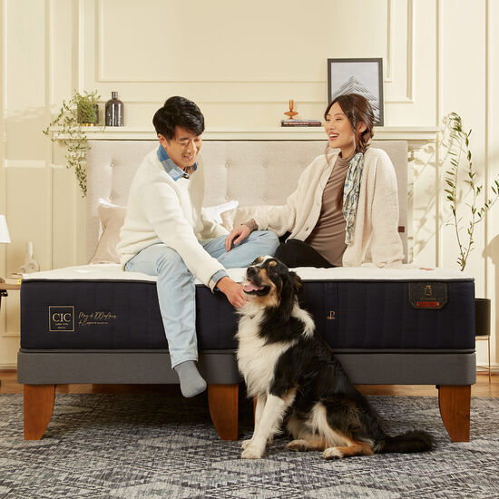Cama Europea King Premium + Respaldo Ganges