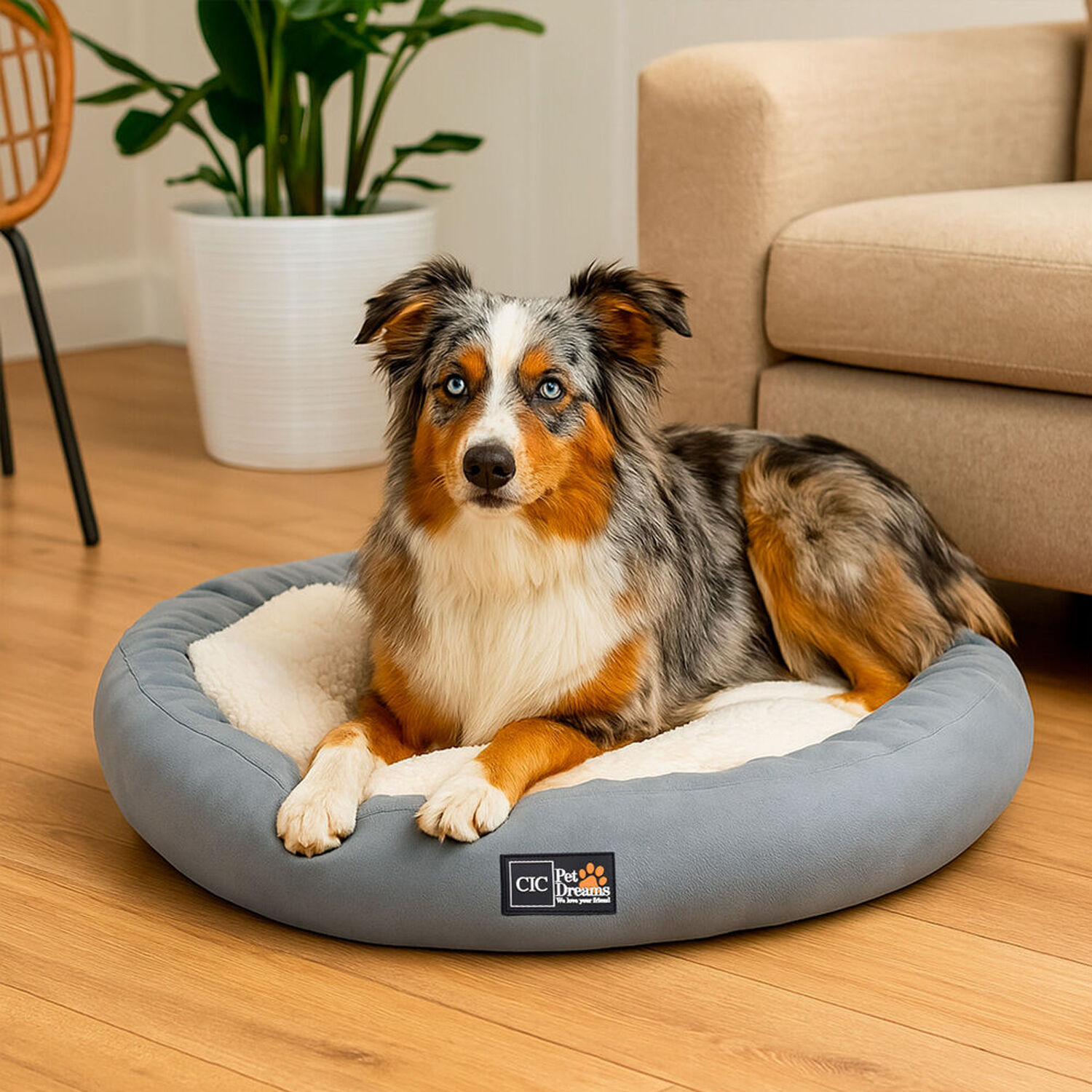Cama Mascota Cobija