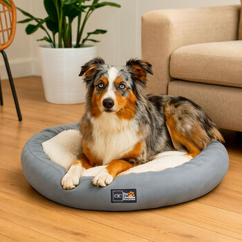Cama Mascota Cobija