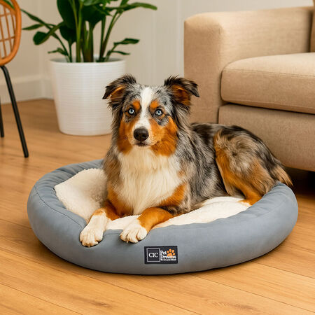 Cama Mascota Cobija