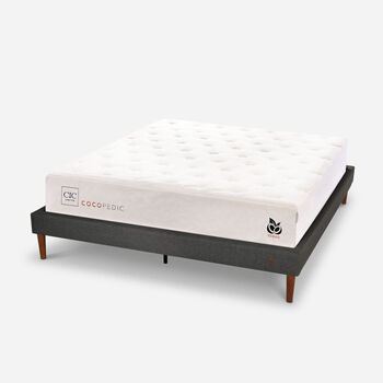 Cama Europea Curve 2 Plazas Cocopedic