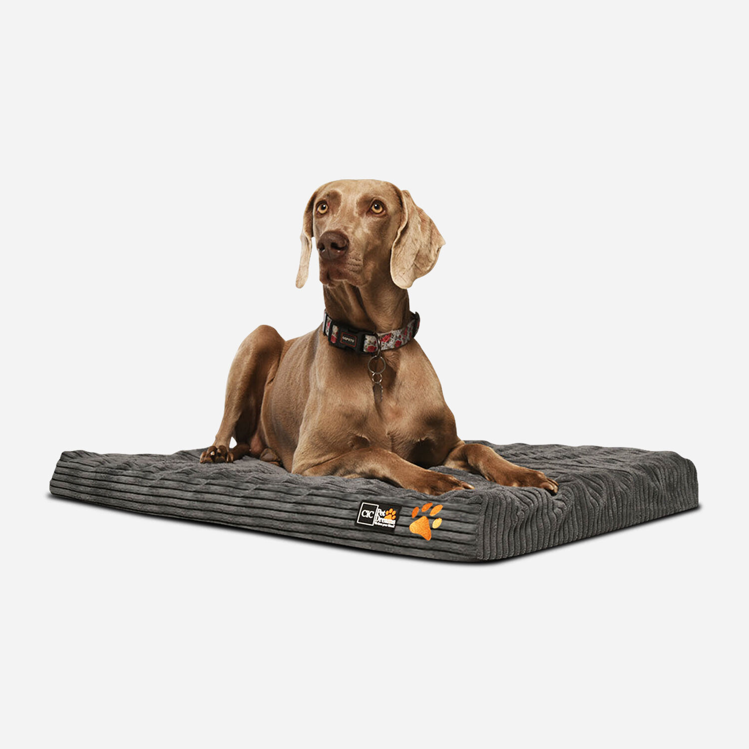 Colch&oacute;n Mascota Plus Talla S 74x48 CM