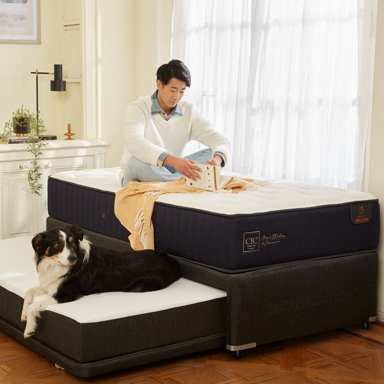 Cama Nido Diván Premium