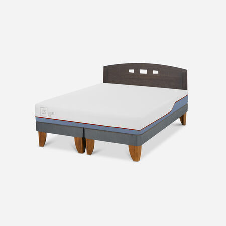 Cama Europea 2 Plazas Excellence Plus Base Dividida + Respaldo Gales Gris