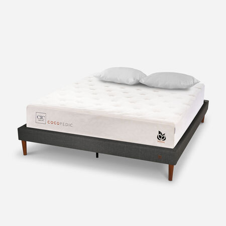 Cama Europea Curve 2 Plazas Cocopedic + Almohadas