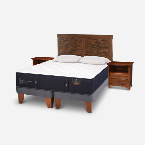Cama Europea 2 Plazas Base Dividida Premium + Set Antique + Almohadas de Pluma
