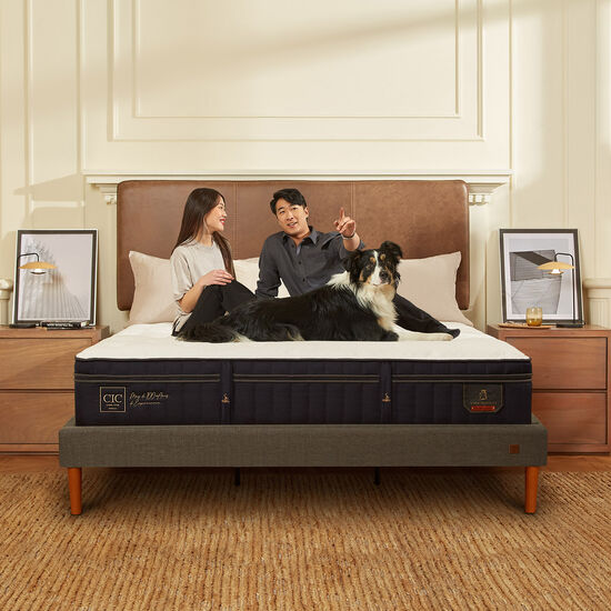 Cama Europea Curve 2 Plazas Super Premium + Set Tigris