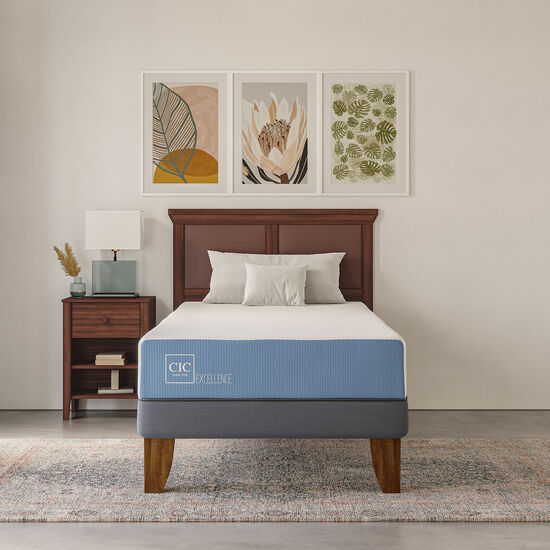 Colchón 1 Plaza Excellence 90x190 + Almohada