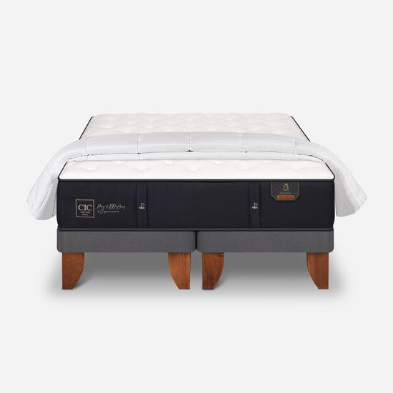 Cama Europea 2 Plazas Premium Base Dividida + Plumón