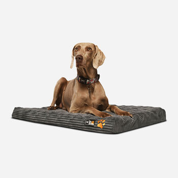 Colch&oacute;n Mascota Plus Talla M 89x56 CM