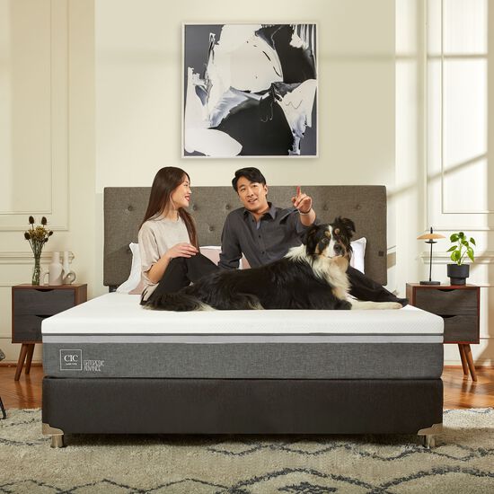 Box Spring 2 Plazas Ortopedic Advance Base Normal 5 Zonas + Set Tigris