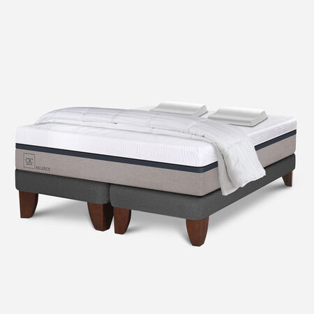Cama Europea King Balance + Almohadas Viscoel&aacute;sticas + Plum&oacute;n