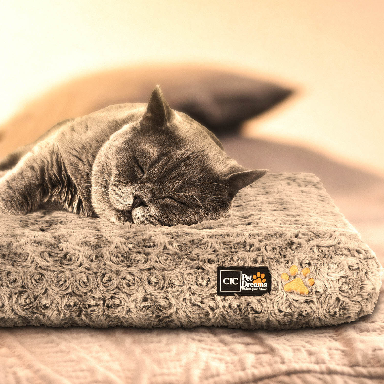 Colch&oacute;n Confort&nbsp;Mascota&nbsp;Talla M 58x46 CM