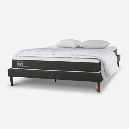 Cama Europea Curve 2 Plazas Ortopedic + Almohadas + Plum&oacute;n