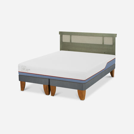 Cama Europea 2 Plazas Excellence Plus Base Dividida + Respaldo Dubl&iacute;n Olivo