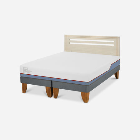 Cama Europea 2 Plazas Excellence Plus Base Dividida + Respaldo M&uacute;nich Alpino