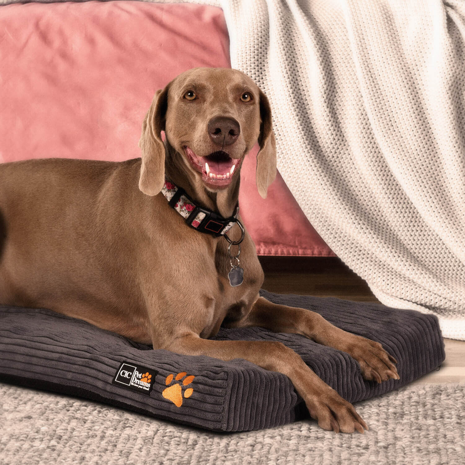 Colch&oacute;n Mascota Plus Talla M 89x56 CM