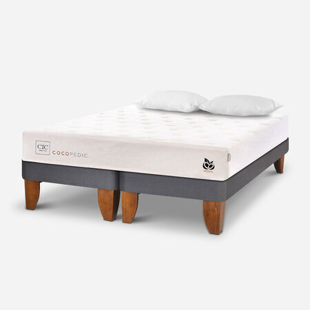 Cama Europea 2 Plazas Cocopedic Base Dividida + Almohadas Viscoel&aacute;sticas