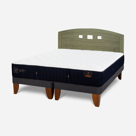 Cama Europea 2 Plazas Premium Base Dividida + Respaldo Gales Olivo