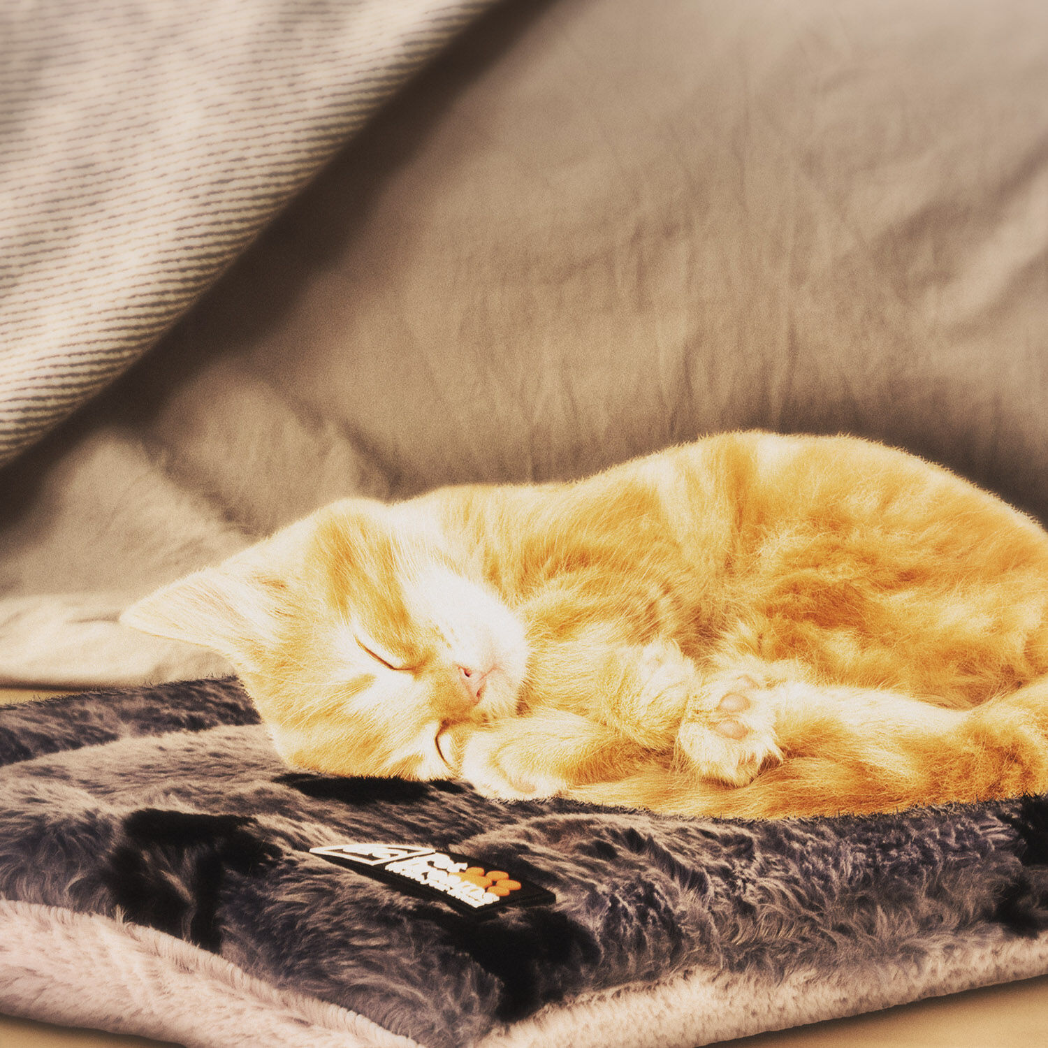 Colch&oacute;n&nbsp;Mascota&nbsp;Talla M 58x46 CM