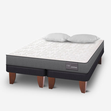 Cama Europea 2 Plazas Anatomic Base Dividida + Almohadas