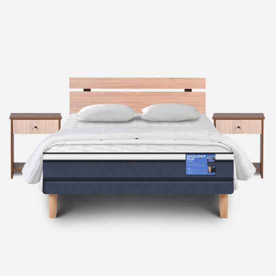 Cama Europea 2 Plazas Excellence Plus Base Normal + Almohadas + Plumón + Set Olmo
