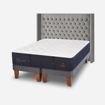 Cama Europea 2 Plazas Grand Premium Base Dividida + Respaldo Sesia