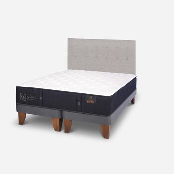 Cama Europea 2 Plazas Premium Base Dividida + Respaldo Tigris