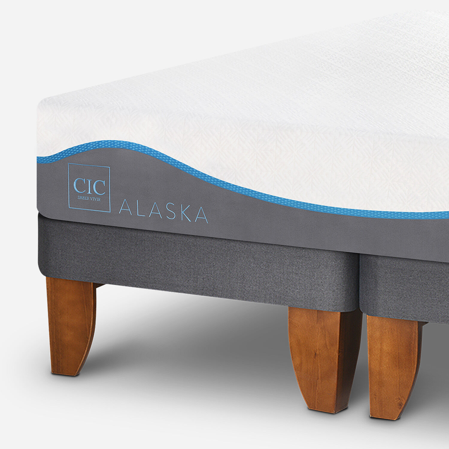 Cama Europea King Alaska + Almohadas Viscoel&aacute;sticass Plum&oacute;n