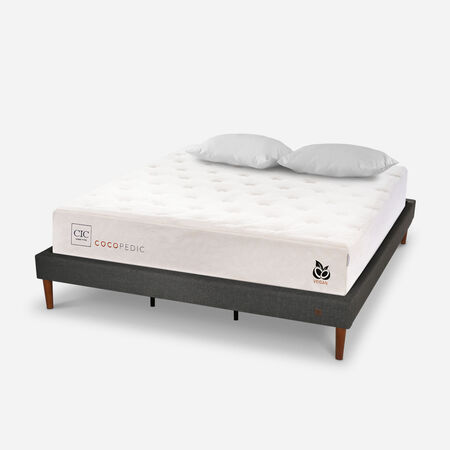 Cama Europea Curve King Cocopedic + Almohadas