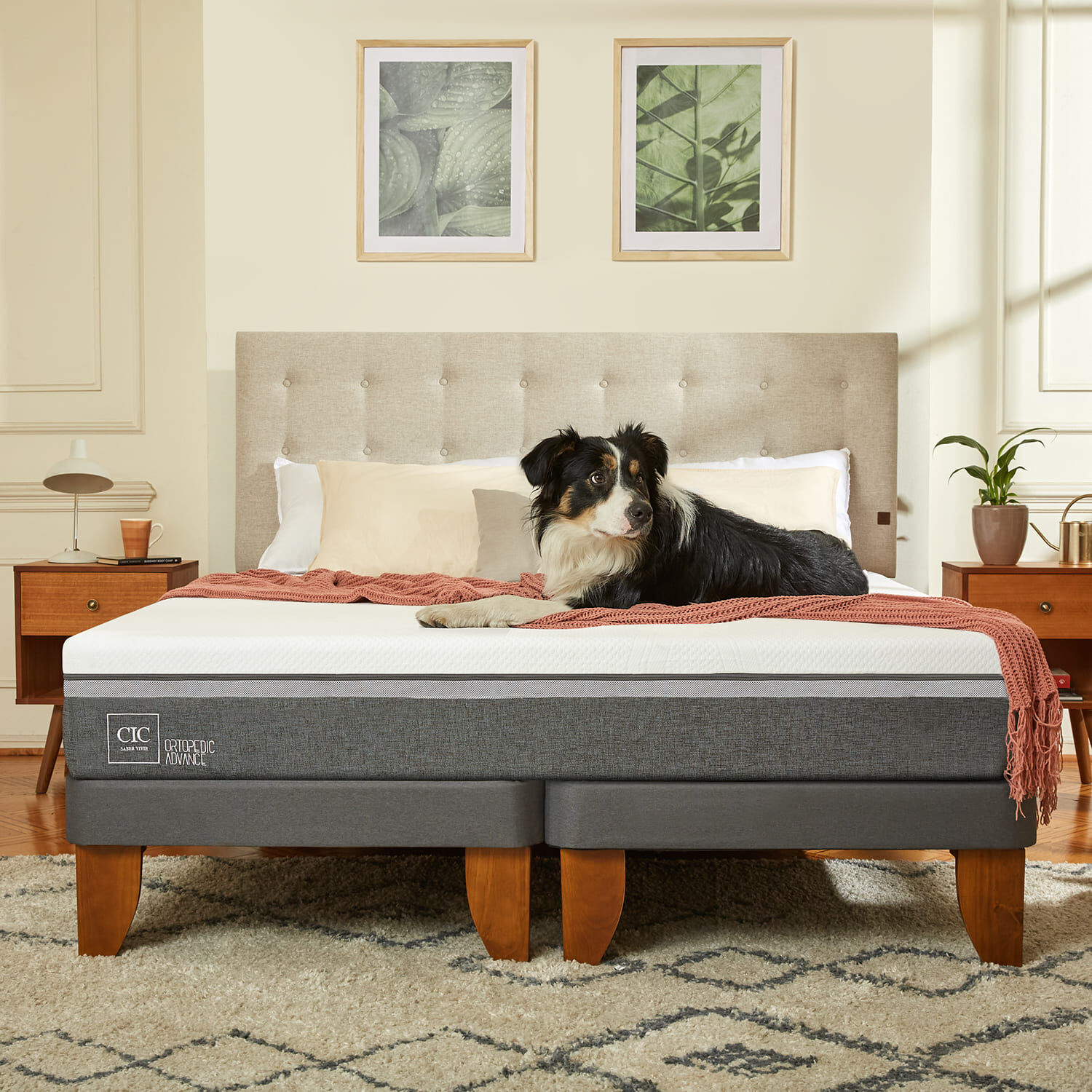 Cama Europea 2 Plazas Ortopedic Advance Base Normal + Set Torino Caramel