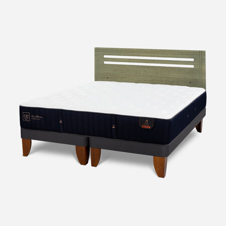 Cama Europea 2 Plazas Premium Base Dividida + Respaldo M&uacute;nich Olivo